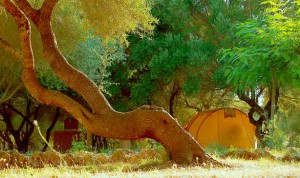 Kemperiu nuoma